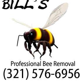 Bee Removal Coral Springs