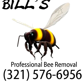 bee removal miami